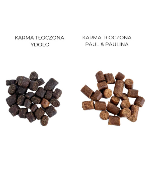 Karma Tłoczona Jeleń z Kaczką 50g|1,5kg|5kg|10kg