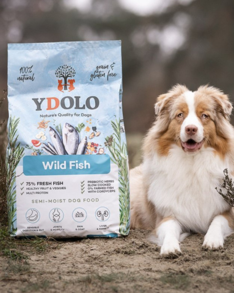 YDOLO Ryby Morskie 100g|2,5kg|10kg