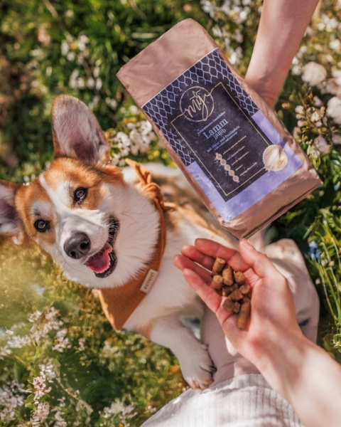 Karma tłoczona z jagnięciną