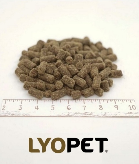 LyoPet Karma Tłoczona Puppy - Indyk i Kaczka 4kg