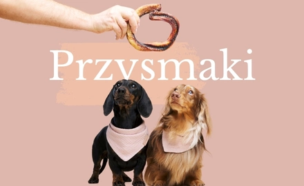 przysmaki dla psów